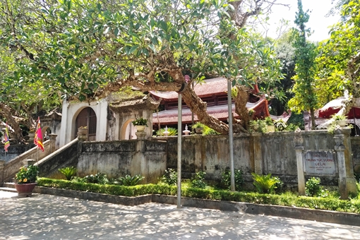 Về Lam Sơn tìm hào khí Lũng Nhai: Cuộc khởi nghĩa vĩ đại